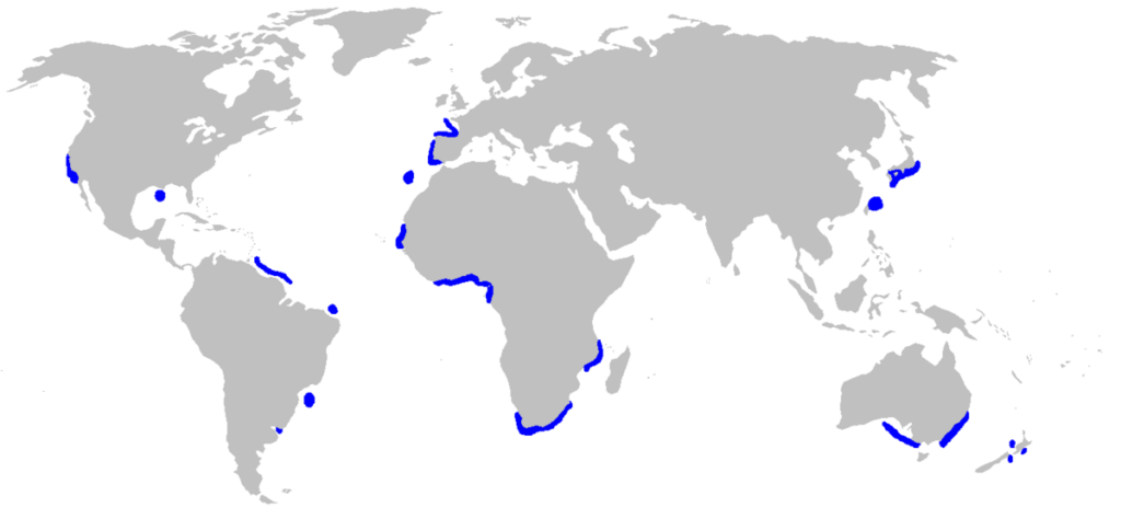 Carte de répartition mondiale montrant l'habitat du requin lutin.