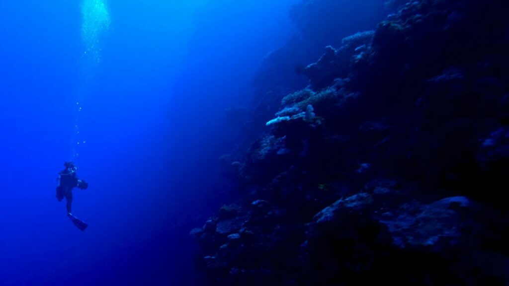 L'exploration des abysses pour percer les mystères des requins lutins.